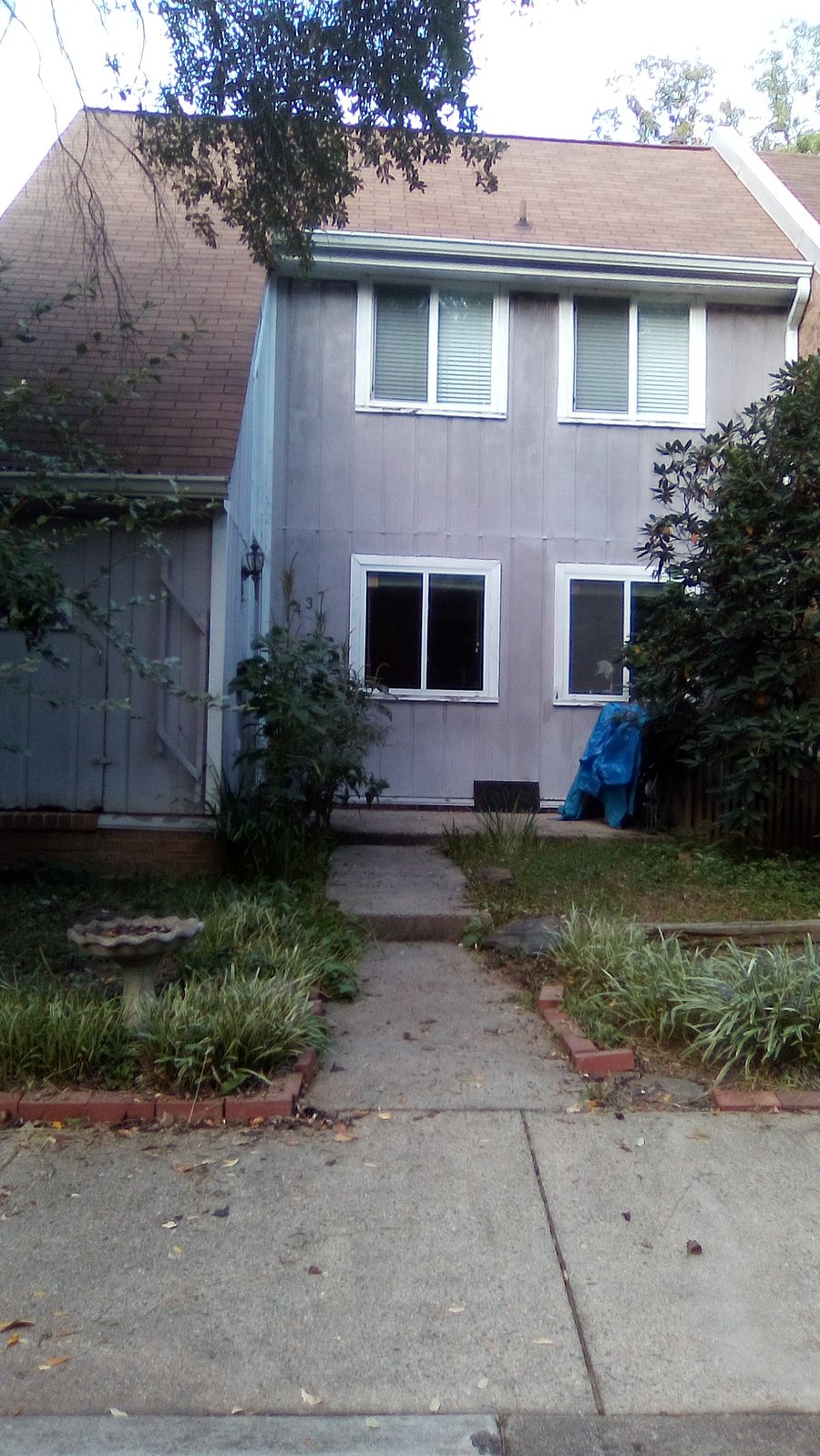 Furnished Finder property 458246_1 photo 14