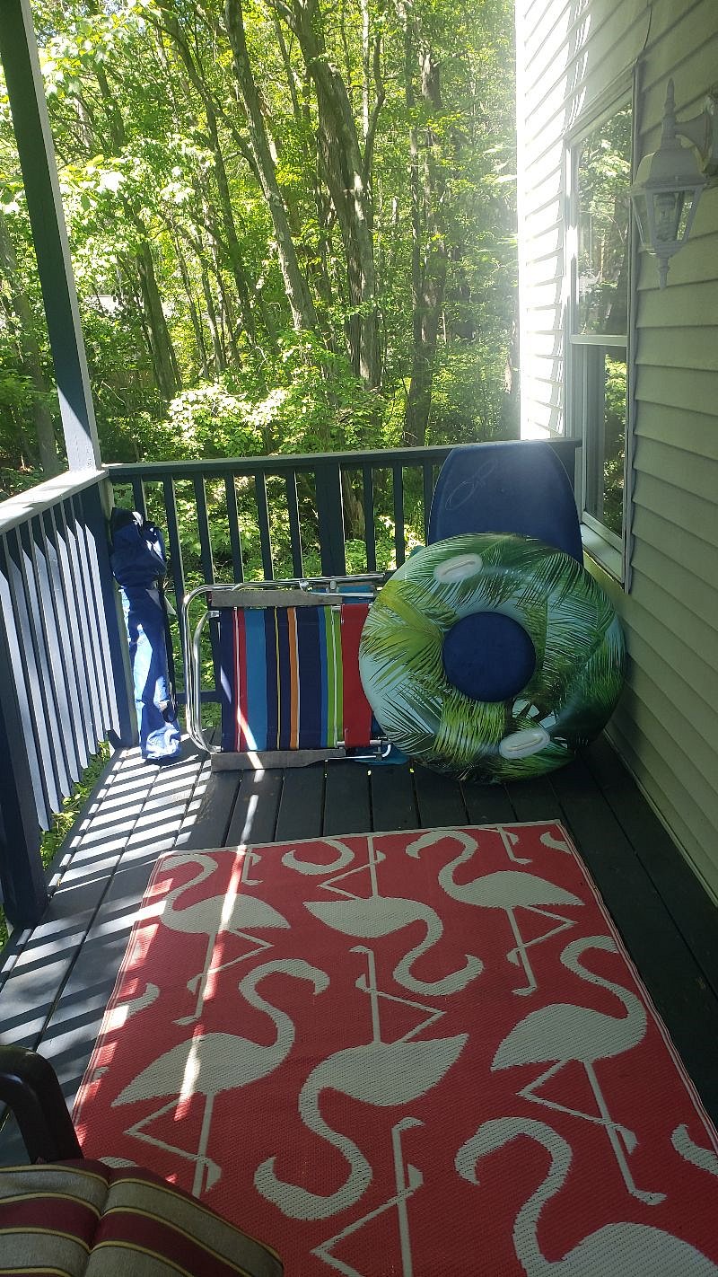 Furnished Finder property 458321_1 photo 10