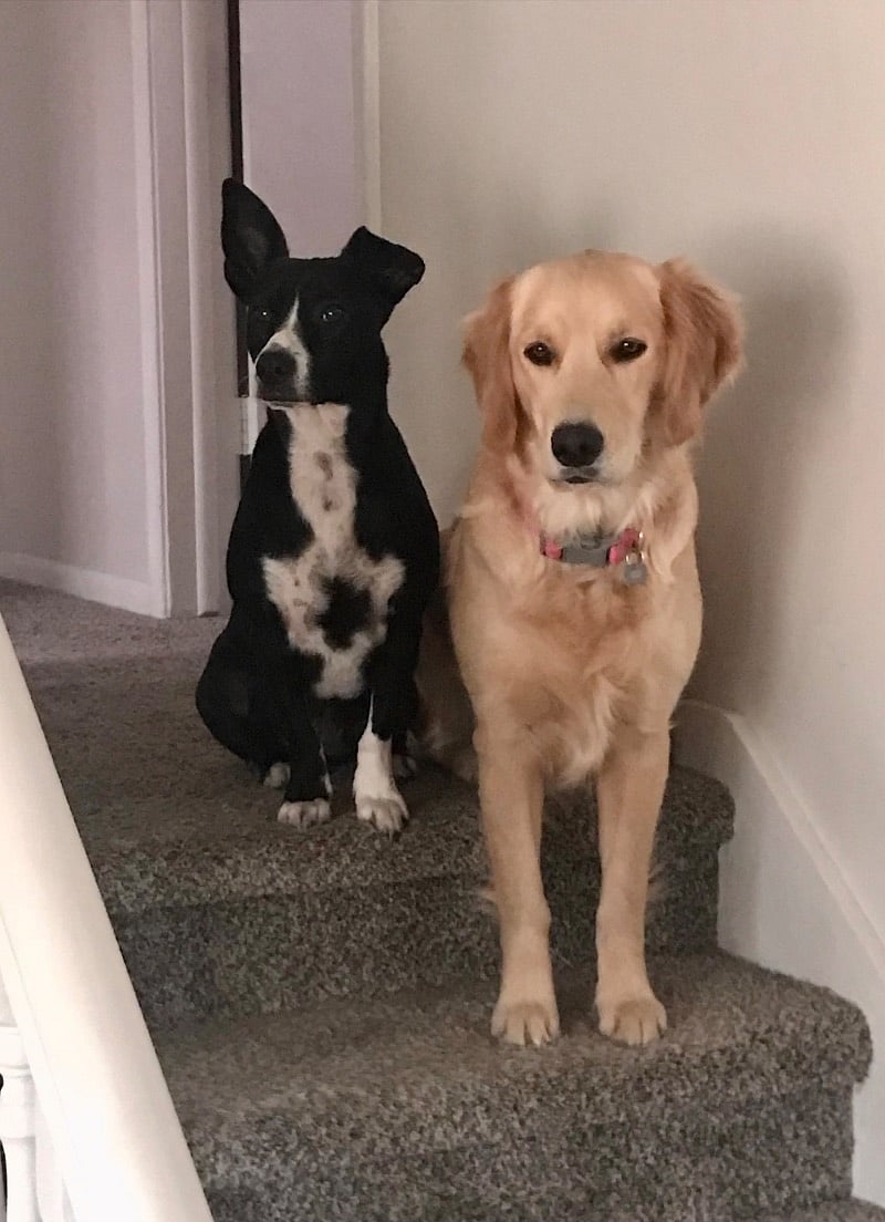 Chloe and Hope