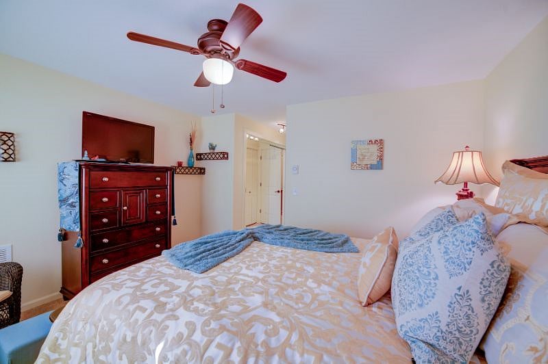 Furnished Finder property 458425_1 photo 14