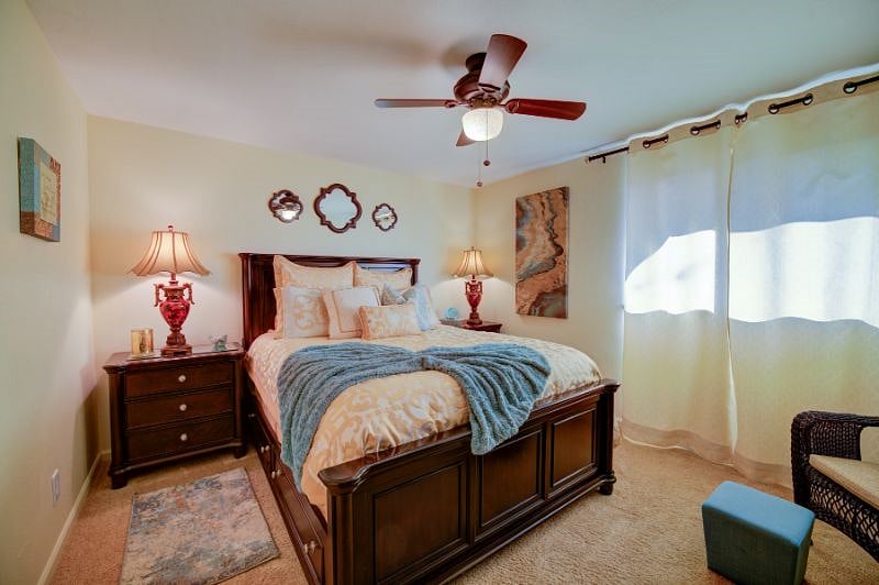 Furnished Finder property 458425_1 photo 11