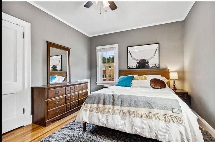 Furnished Finder property 458523_1 photo 15
