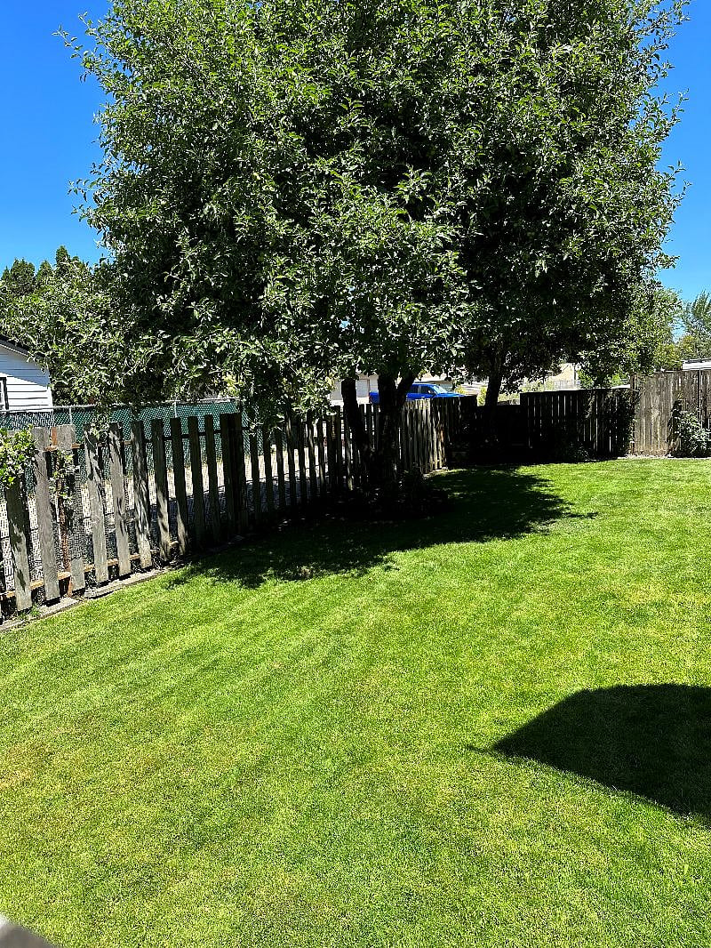 Furnished Finder property 458597_1 photo 26