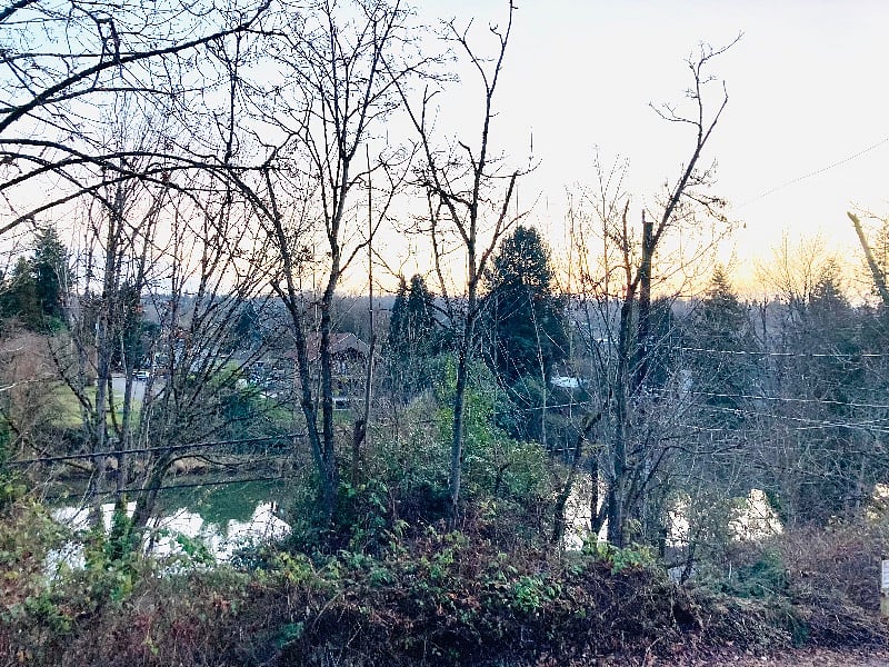 View of the Duwamish from the porch