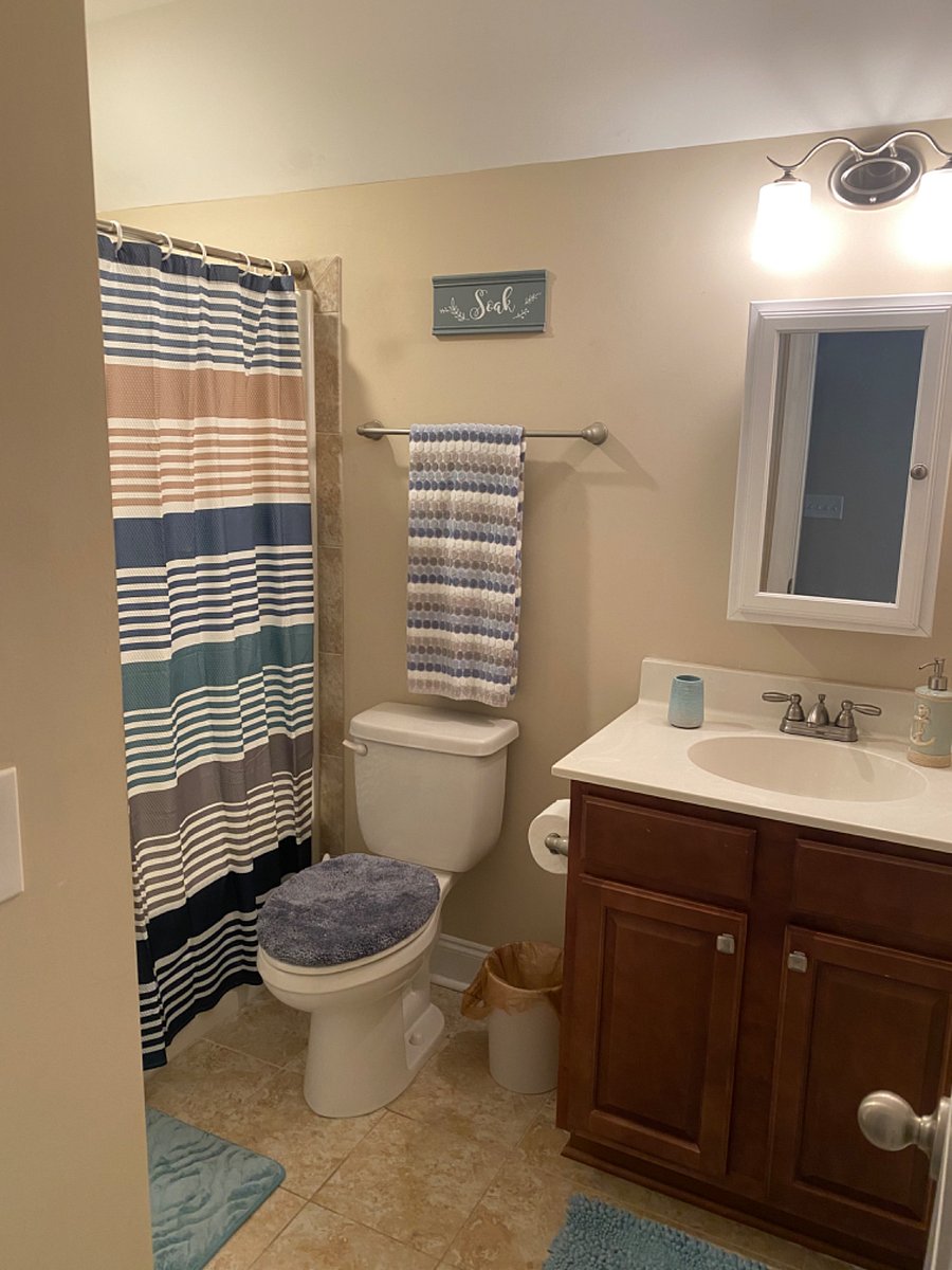 Furnished Finder property 458711_1 photo 5
