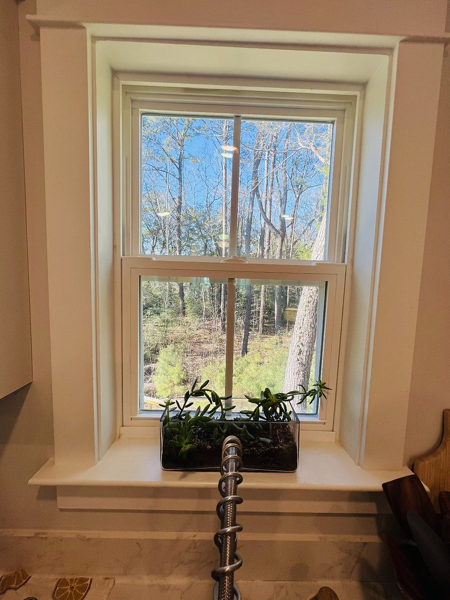 Furnished Finder property 458840_1 photo 4