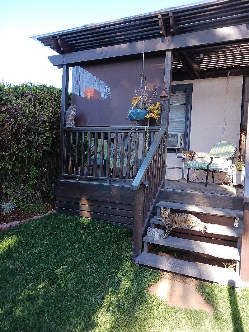 Rear Deck
