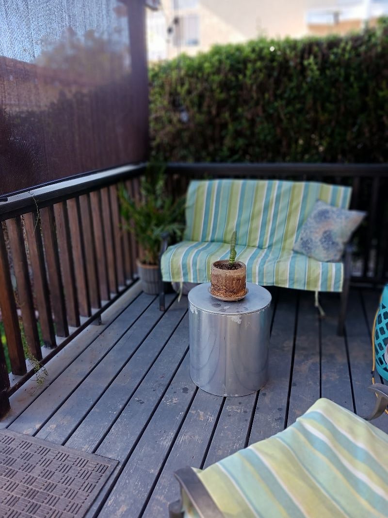 Rear Deck