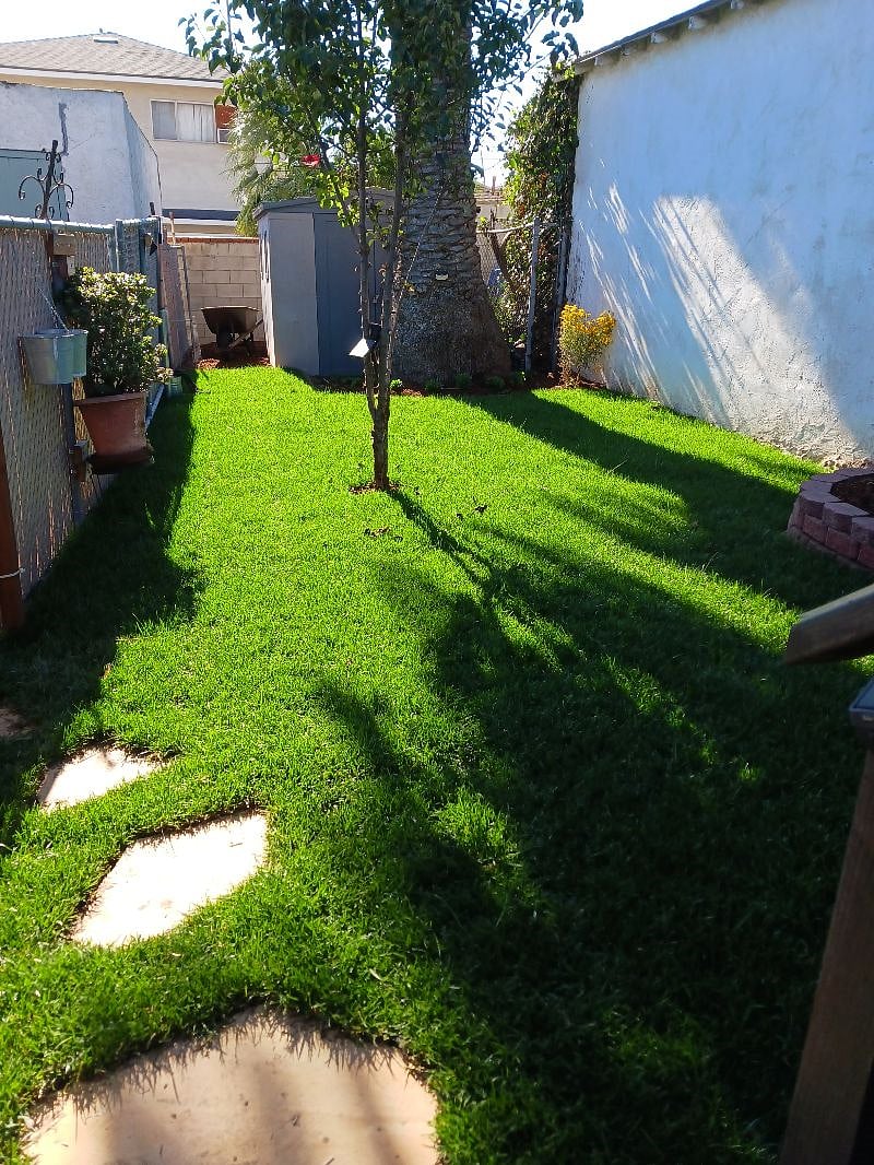 Back Yard