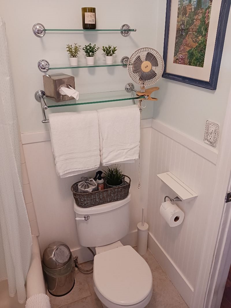 Bath-Toilet Area