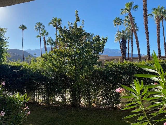 TheBrio Palm Springs_Main Patio View-1