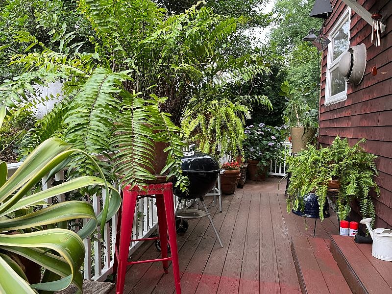 Furnished Finder property 459228_1 photo 15