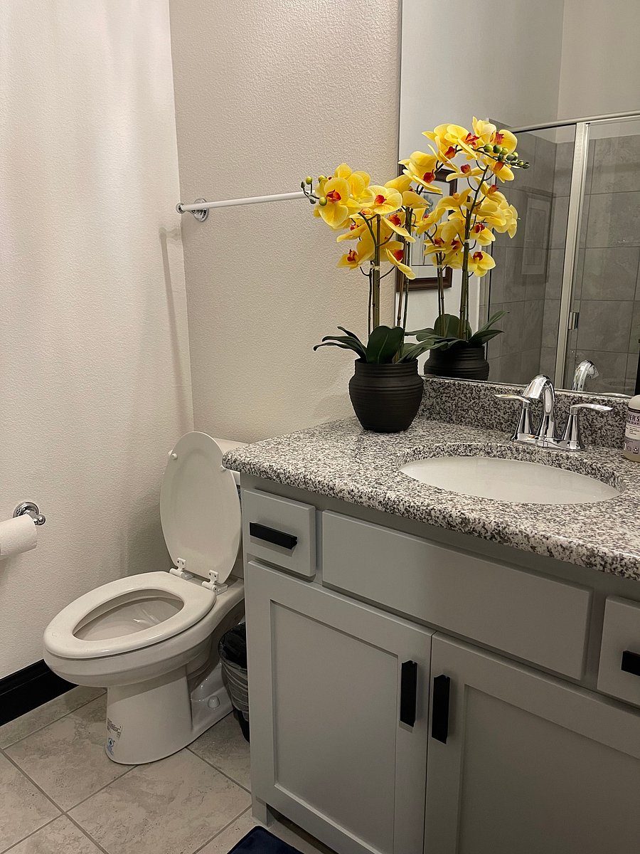 Furnished Finder property 459238_1 photo 5