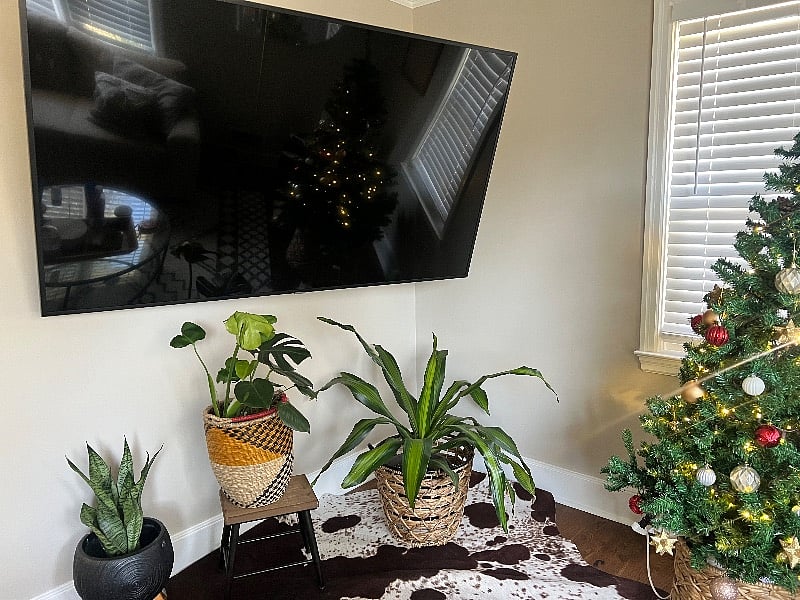 Furnished Finder property 459395_1 photo 15