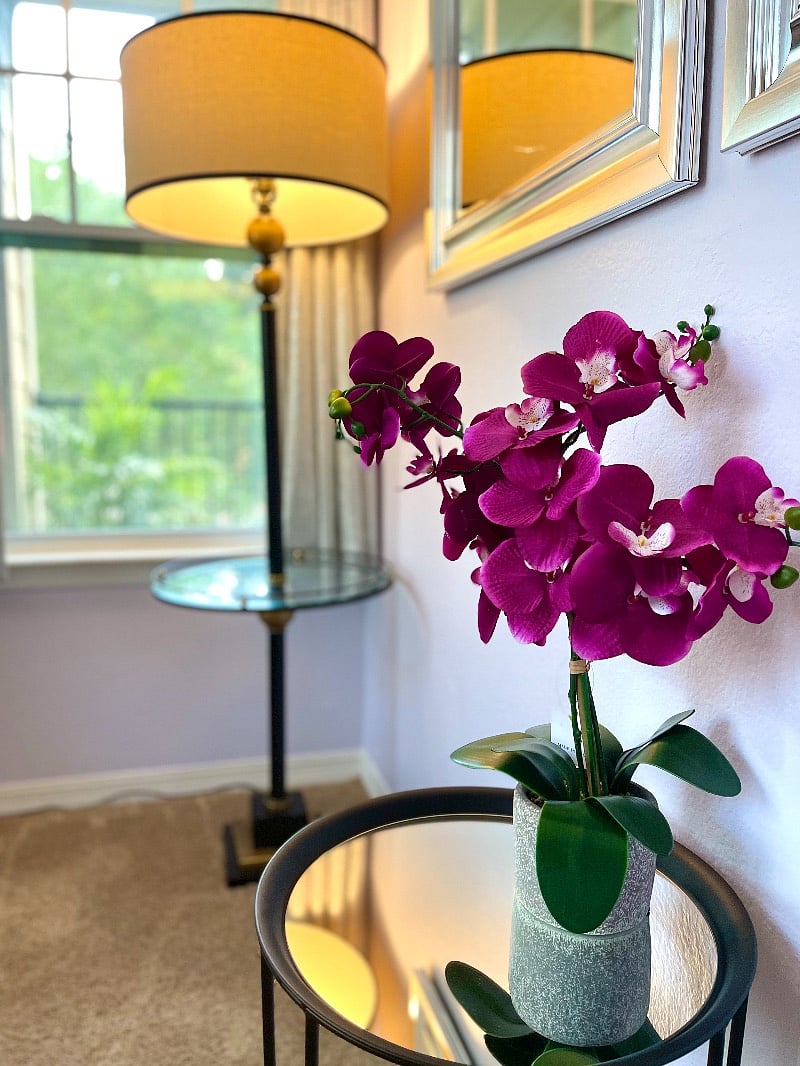 Furnished Finder property 459543_1 photo 3