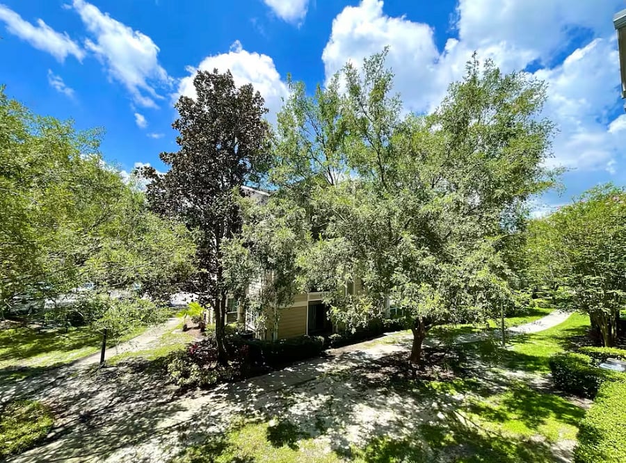 Furnished Finder property 459543_1 photo 19