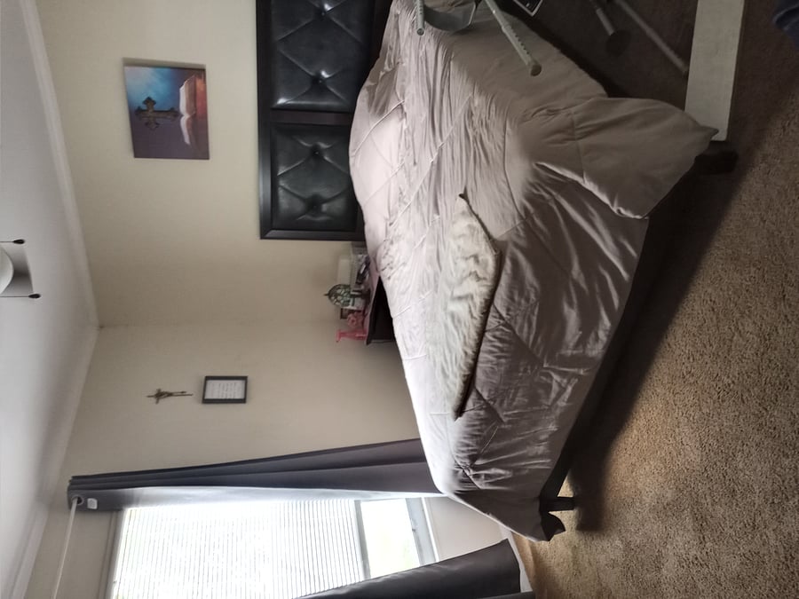 Furnished Finder property 459635_1 photo 12