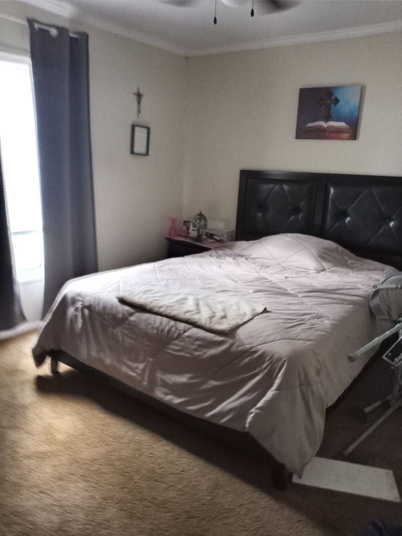 Furnished Finder property 459635_1 photo 22