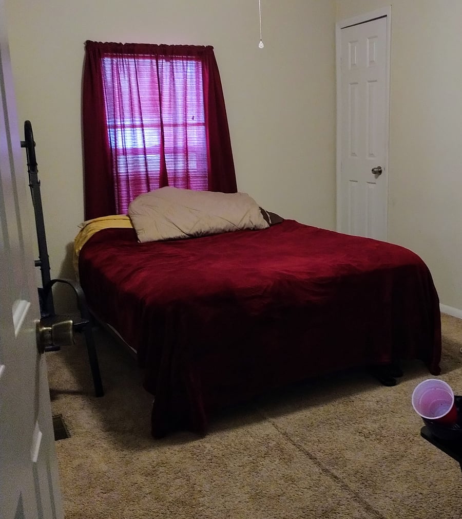 Furnished Finder property 459635_1 photo 29