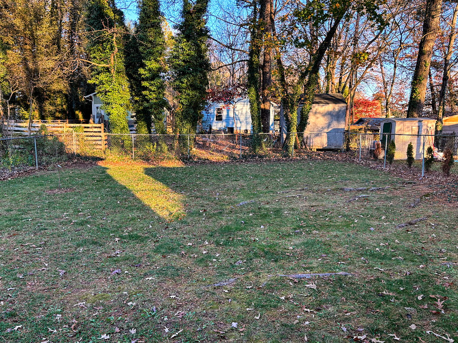 Furnished Finder property 459638_1 photo 22