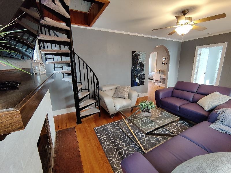 Furnished Finder property 459785_1 photo 6