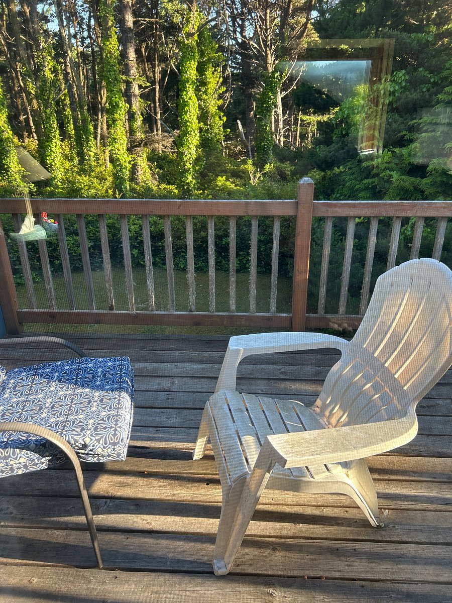 Furnished Finder property 459898_1 photo 9