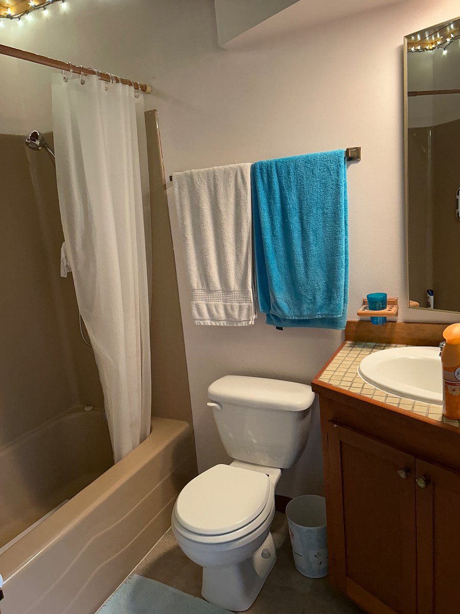 Furnished Finder property 459898_1 photo 12
