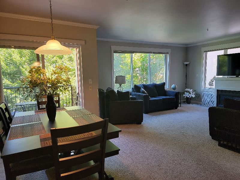 Furnished Finder property 459933_1 photo 13