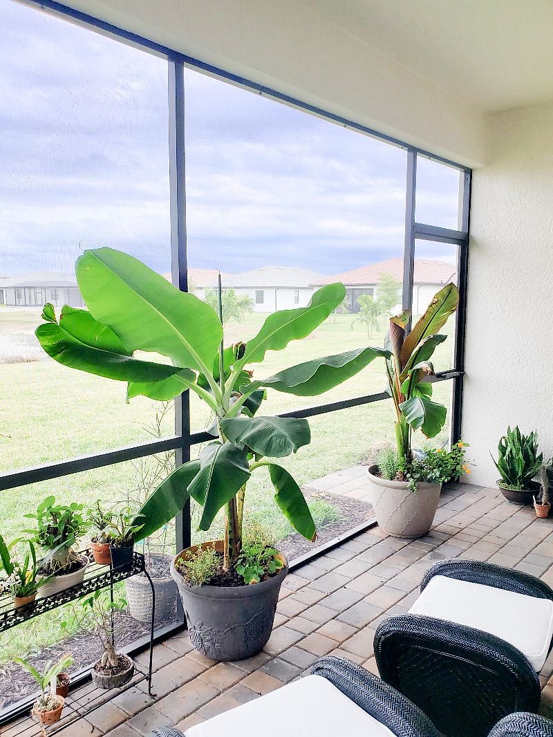 Lanai with lake view