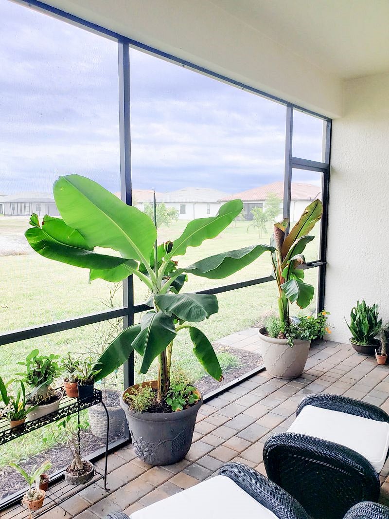 Lanai