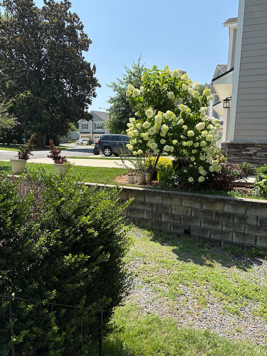 Front Door Looking Out