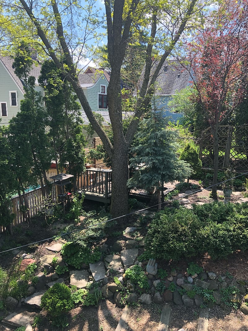 Furnished Finder property 460235_2 photo 14