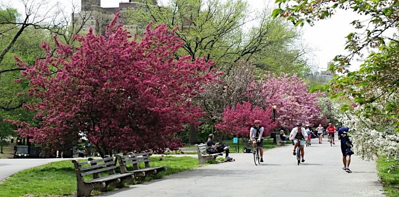 If you love flowers Riverside Park also has a conservertory. The mission of Riverside Park Conservancy is to restore, maintain, and improve Riverside Park in partnership with the City of New York for the enjoyment and benefit of all New Yorkers.
