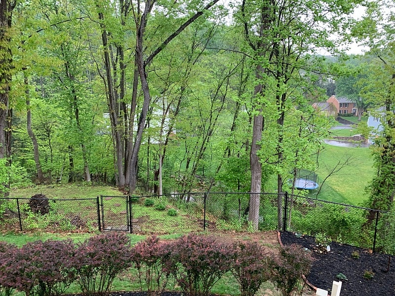 Furnished Finder property 460718_1 photo 92