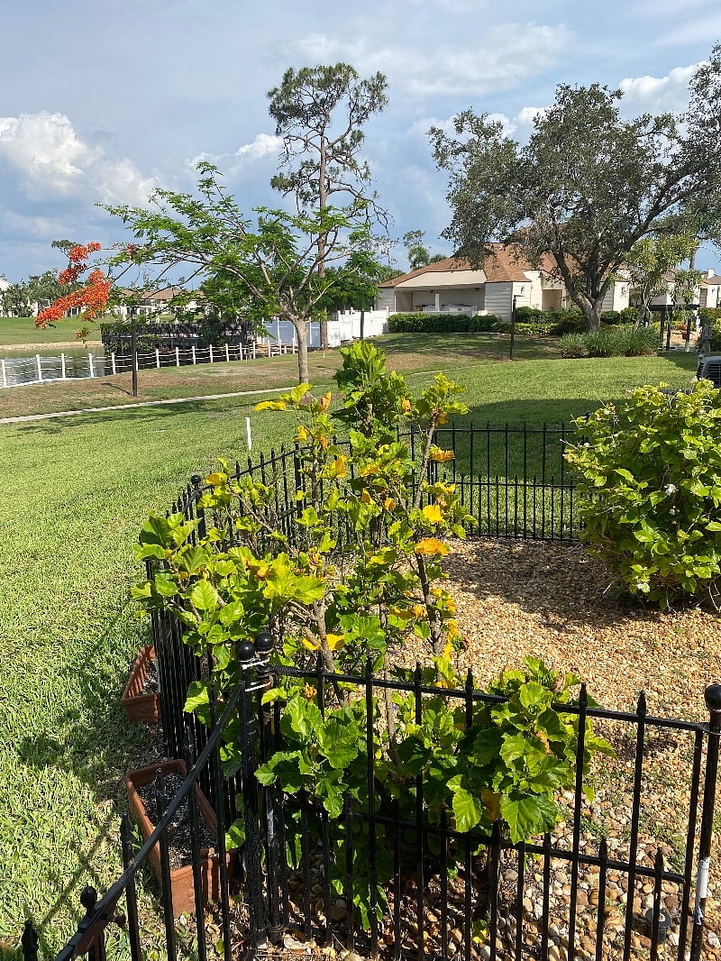 Furnished Finder property 460810_1 photo 26