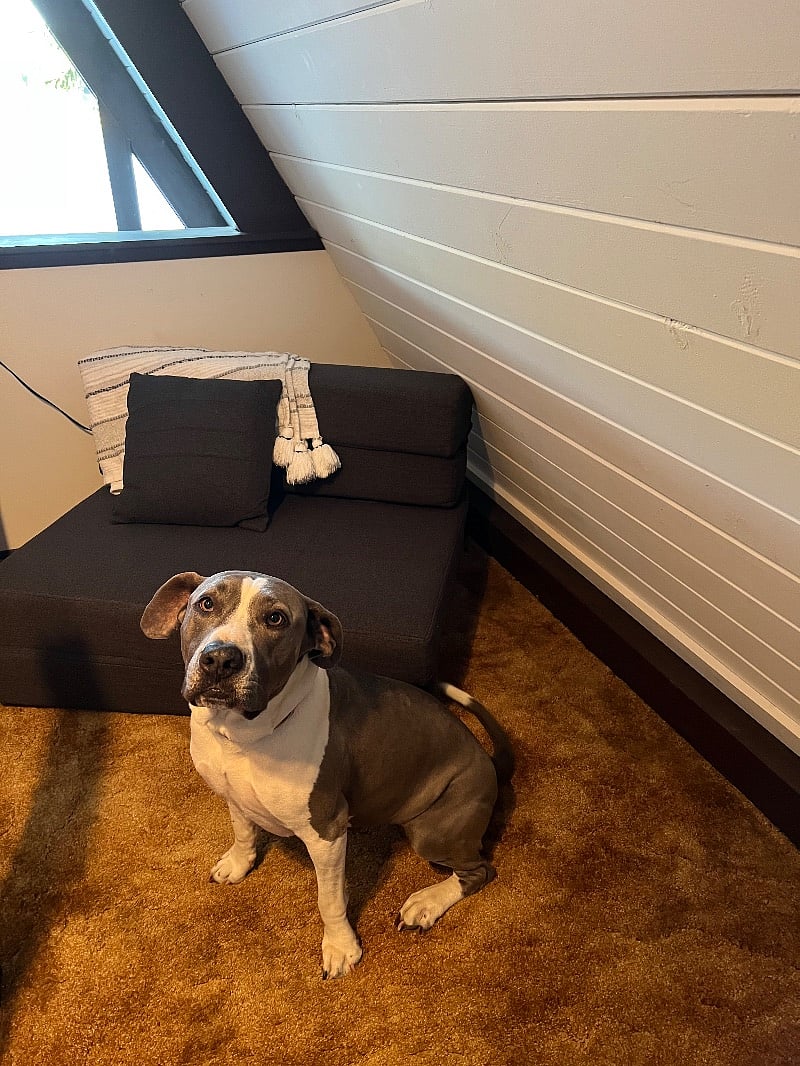 This chair located in the loft, folds out into a sleeping pad! (Cute pup not included!).