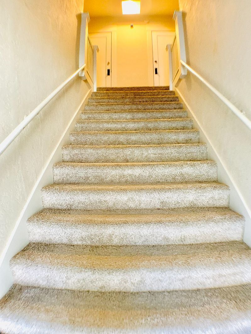 Furnished Finder property 461051_4 photo 12