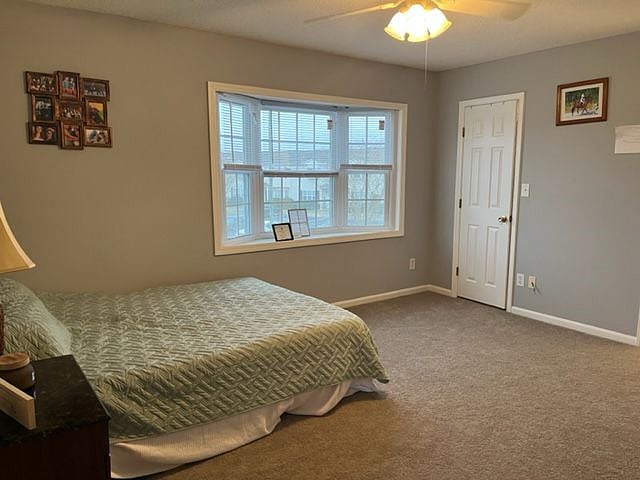 Furnished Finder property 461129_1 photo 12