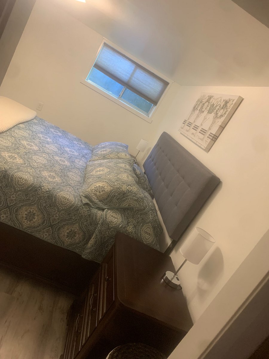 Furnished Finder property 461150_1 photo 35