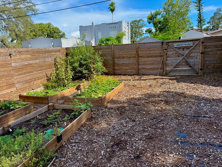 Giant backyard for your dog to run and play with our lab hound mix named Romeo. 
