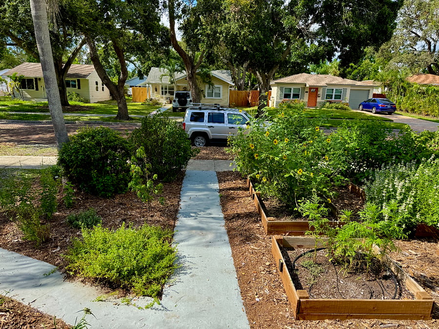 Tons of street parking at all times in front of house. 