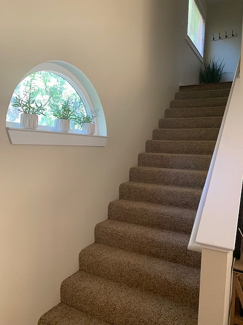 Furnished Finder property 461467_1 photo 9