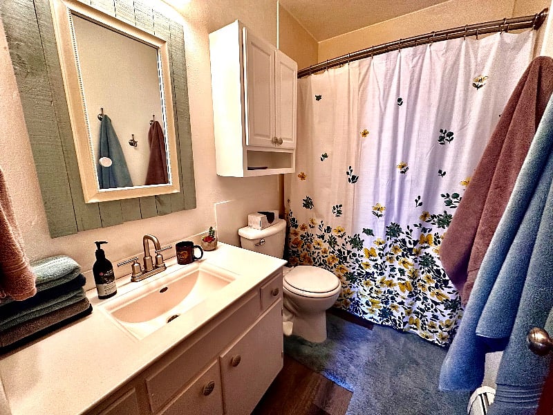 Furnished Finder property 461559_1 photo 15