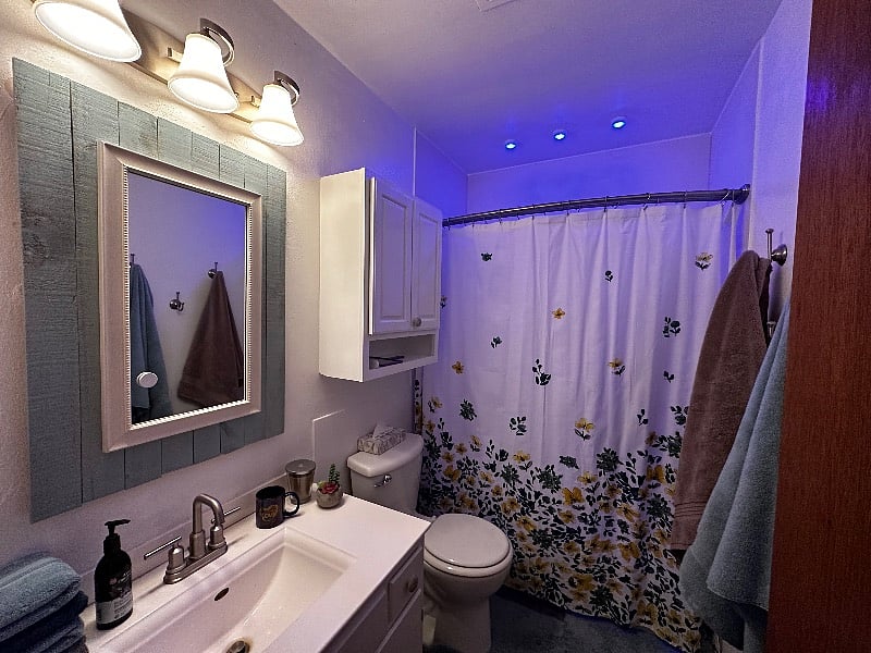 Furnished Finder property 461559_1 photo 20