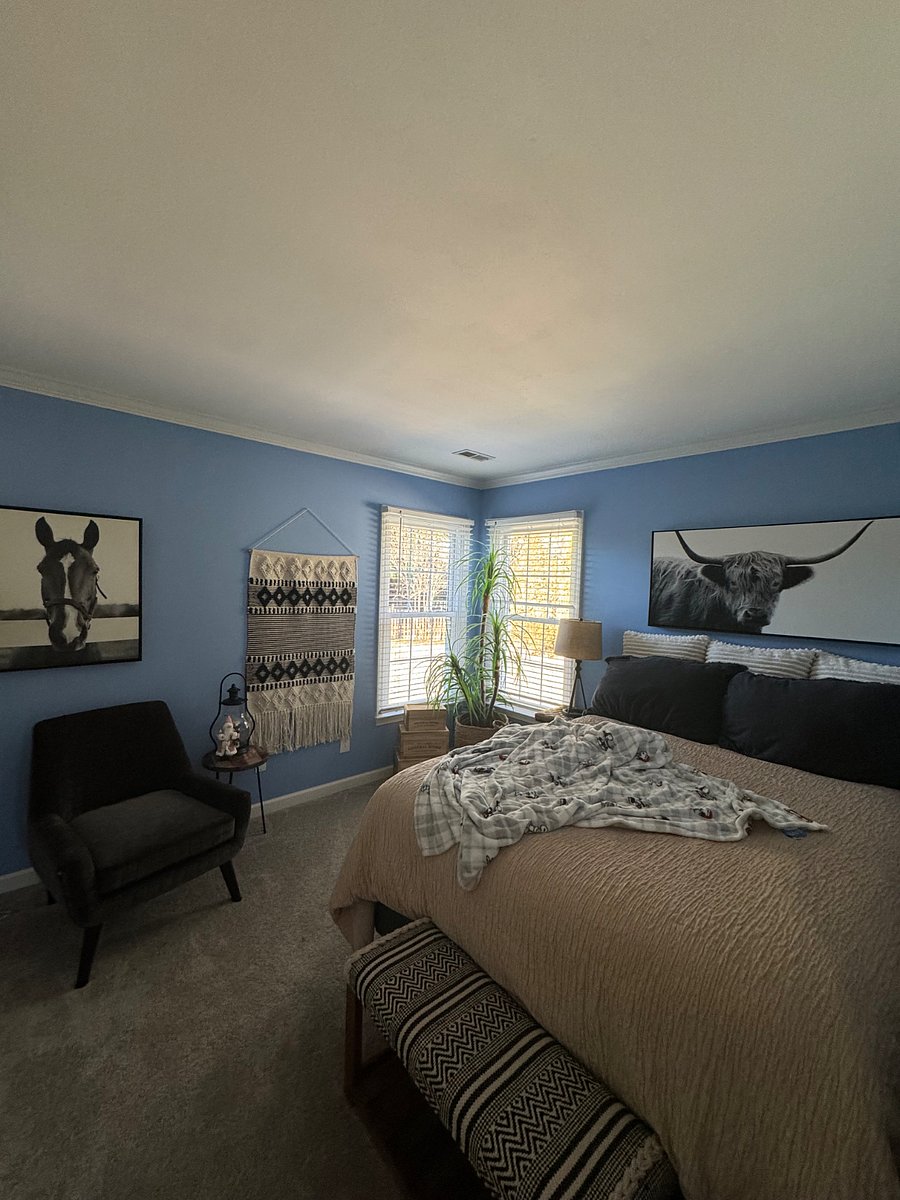 Furnished Finder property 461596_1 photo 15