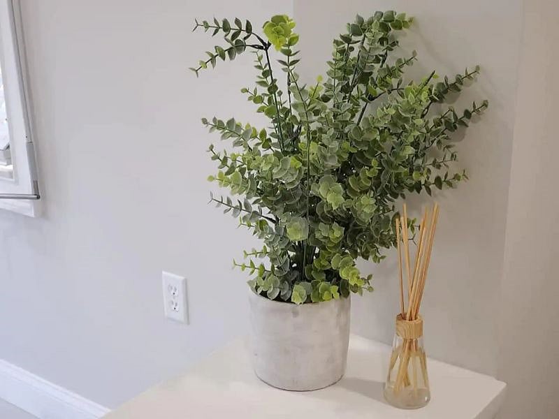 Furnished Finder property 461790_1 photo 12