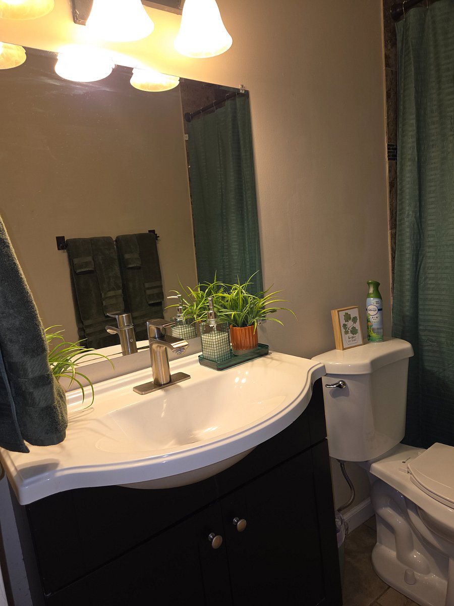 Furnished Finder property 462059_2 photo 29
