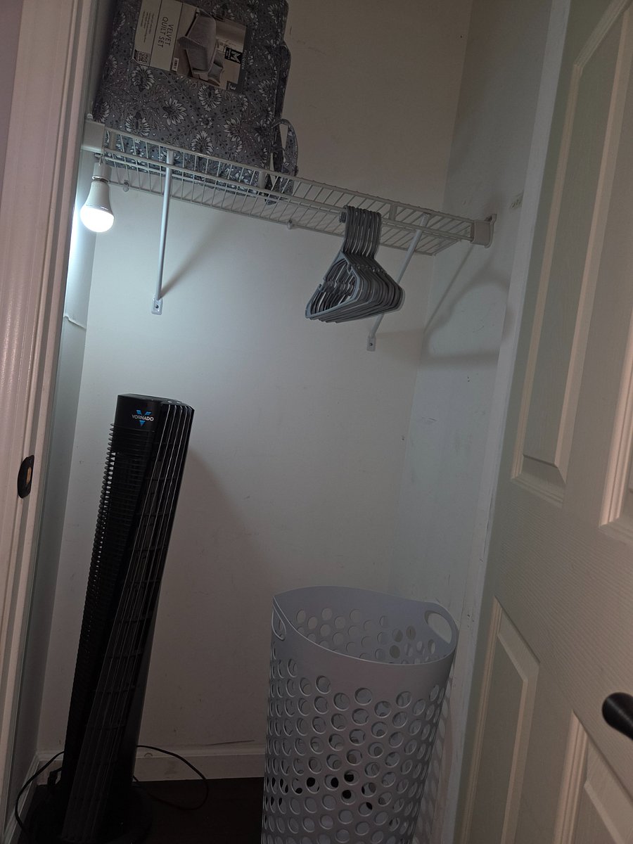 Furnished Finder property 462059_2 photo 42