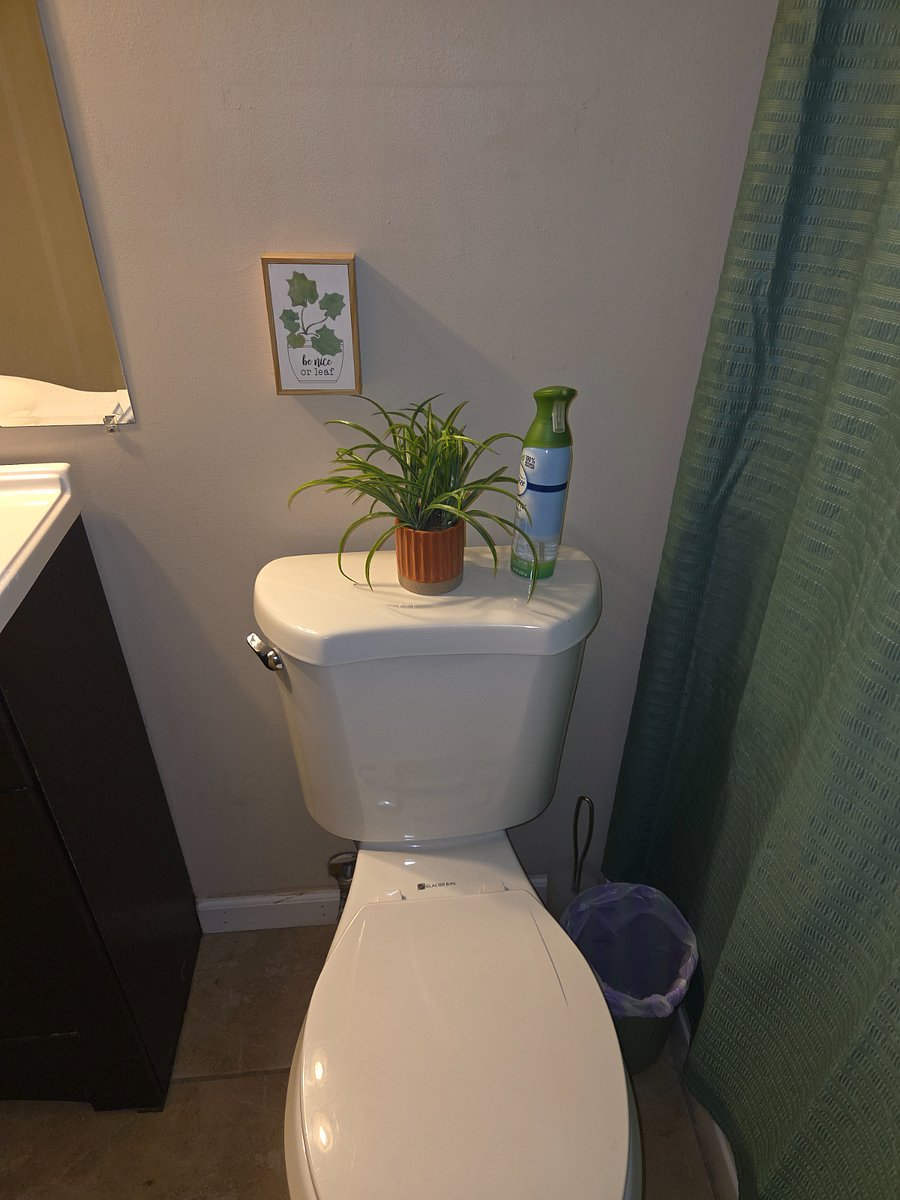 Furnished Finder property 462059_2 photo 31