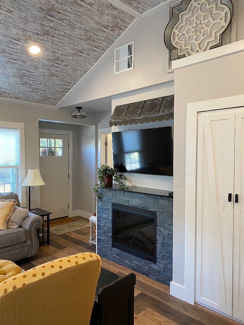TV and Fireplace